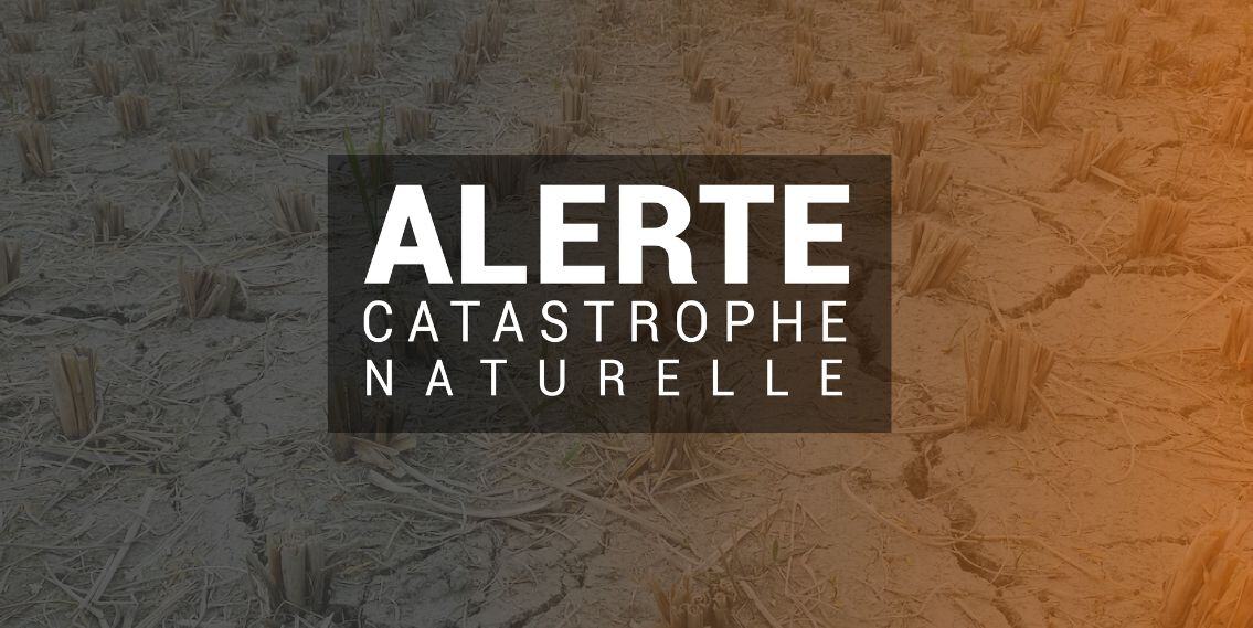 alerte catastrophe naturelle due à la sécheresse du 2 juillet 2024