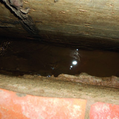 Photo de l'eau présente à l'arrière de la paroi